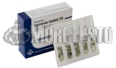 Testosterone Enanthate 10ml (тестостерон Эн) от Aburaihan | Моретесто ...